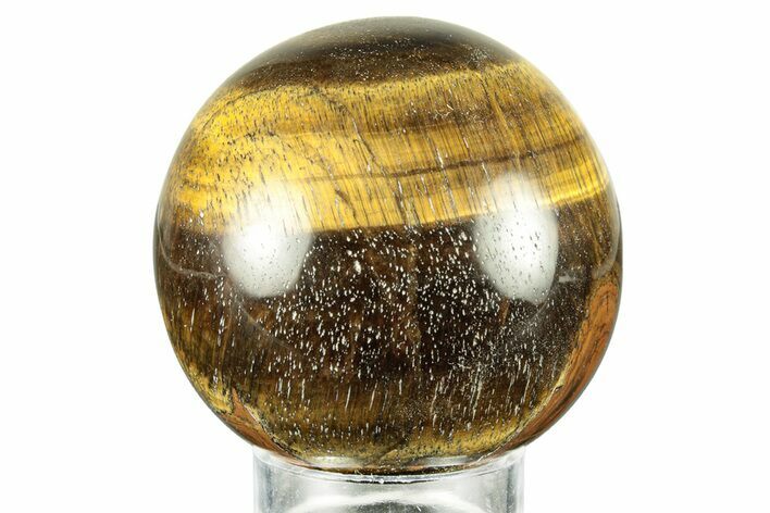 Polished Tiger's Eye Sphere #241646